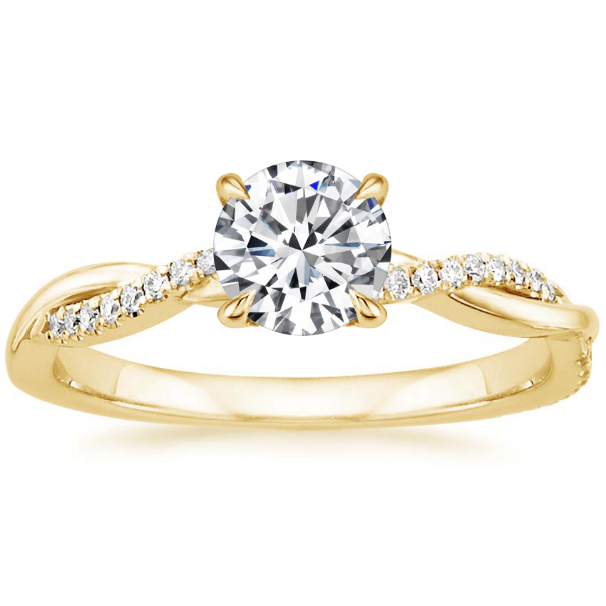 Ring Eeuwige Glans in goud