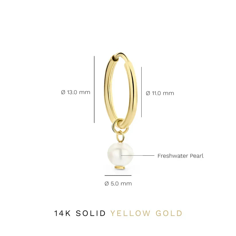 Gekroonde oorbellen Janneke | Goud