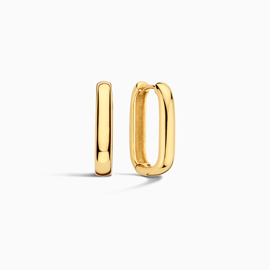 Signature-oorbellen in goud